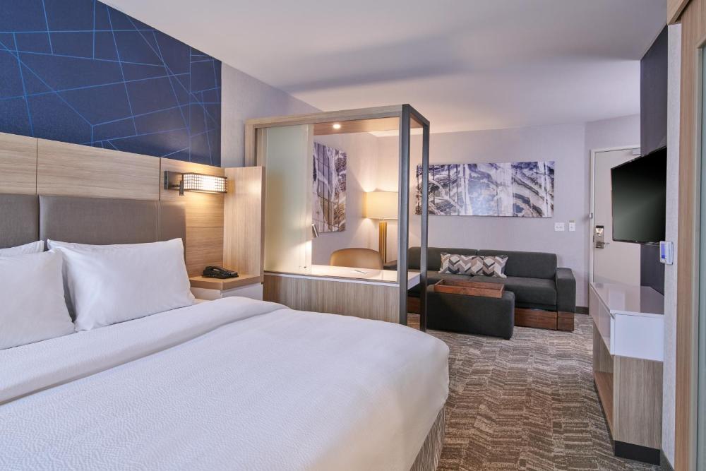 Large King Studio with Sofa Bed and Trundle Bed interior